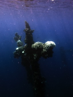 Mast near the surface